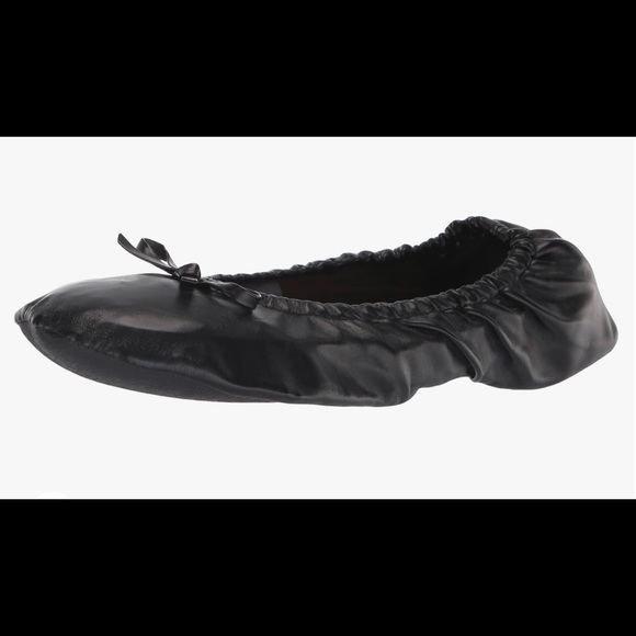 Women's Foldable Portable Travel Ballet Flat Shoes w/Matching Carrying Case - Picture 2 of 7